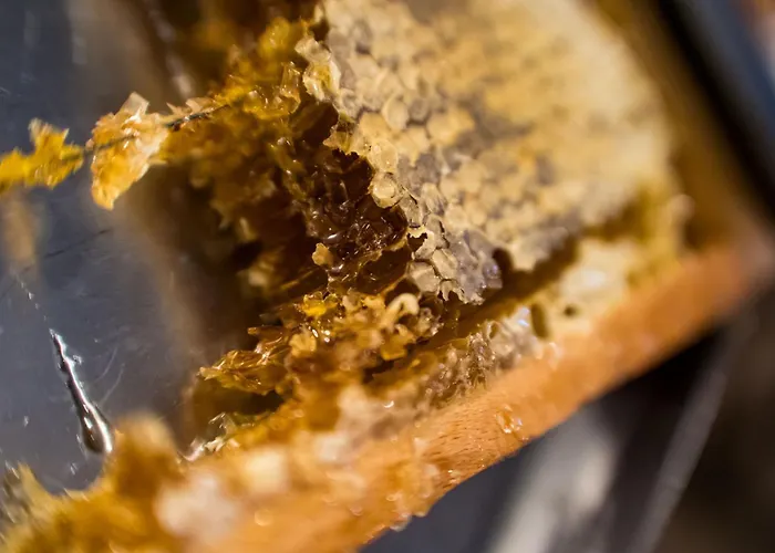 Kuźnia Napoleońska Hotel 3*